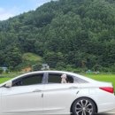 채리 빌리지 이미지