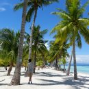 호텔굳타임 | 보홀맛집) 뷰먹 책임지는 보홀비치클럽(BBC) 레스토랑 후기 및 가격정보 +_+