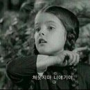 수니와도라