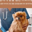 애니컴 메디컬센터 이미지