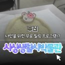 사상생활사박물관 | 【부산】🪨 사상생활사박물관 제스모나이트 트레이 만들기 체험 후기ㅣ나만을 위한 힐링 프로그램