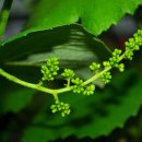 예정농장 이미지