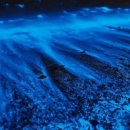 SK건강센터 이미지