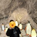 충주시 활옥동굴 방문 feat.동굴 안에서 투명 보트 타기 체험