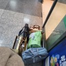 하선약국 이미지