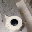 작전 풍림아이원아파트 | 짐 많아도 가능합니다｜당하동 풍림아이원아파트 살림집 실크도배 후기