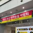 2023 부산 반려동물 박람회 후기