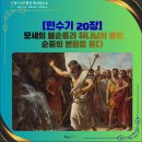 본질을 묻다 이미지