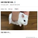 모두다잇소 이미지