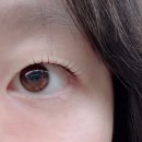 행우리 | 속눈썹펌 찐 맛집 문정동 '행브로우' 후기!! 강추