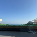 모임다모임