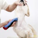 소울도기 이미지