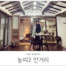 농띠 | 제주독채민박, 구좌숙소 특별한 숙소를 찾는다면 농띠펜션 안거리 후기!