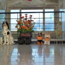 빛이랑 펜션 이미지