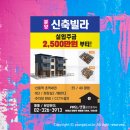 고려피알 이미지