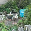 방동가든 | 2025년 다섯 번째 이야기