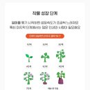 매일2농장 이미지