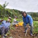 조계환농장 이미지