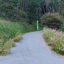 꼬부랑길 이미지