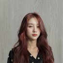 와이즈헤어 - 수원시 영통구 | 와이즈헤어
