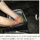 김해장유아디다스