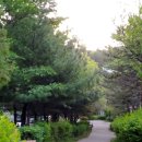 오늘하루 이미지