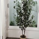 진위도서관 이미지