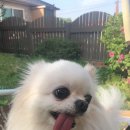 슈안성