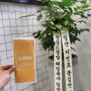 루덴스실용음악학원