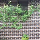 고산슈퍼 이미지