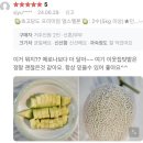 현명농장 | 고창 인생 꿀 메론 만난 후기 + 메론 농장 직송 택배 주문하는 곳 추석 과일 선물세트 추천