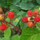 승학자연어린이집 이미지