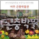 여주곤충박물관 서울근교 경기도 초등저학년 아이랑 갈만한곳