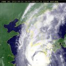 사곡주유소 이미지