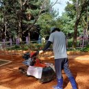 폭신폭신 이미지