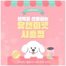 부천중앙공원 | 부천말티즈분양 후기 중앙공원에서 만난 ‘초코’