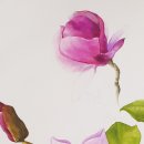 [백석]수채화&보타니컬 이미지