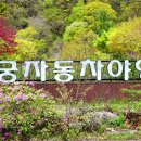 달궁자동차야영장 이미지