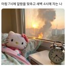 젊음의 하이라이트