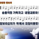 [PPT악보] 갈보리 / 영원한 갈보리 / 슬픔 걱정 가득차고 이미지