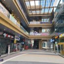 루이비숀 이미지