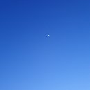 제이조이 이미지
