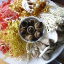 장수버섯샤브샤브 이미지