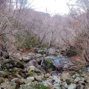 점필재로 이미지