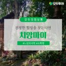 즐거운여행사 이미지