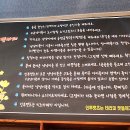 인투캣츠 이미지