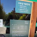 (출산 기록_33) 여름 산책 코스 죽녹원 임산부 막달 산책 후기