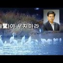 백로야 우지마라-도우 김충록 시인의 시조 시/낭송 지향. 오순옥 시인.낭송가 낭송/ 영상 박병기 시인 이미지