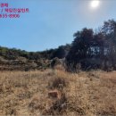 시곡2리 마을회관 이미지