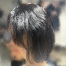 올리브헤어매직 | 이대 미용실 복구매직 <에코에비헤어 이대점> 뿌리 매직후기